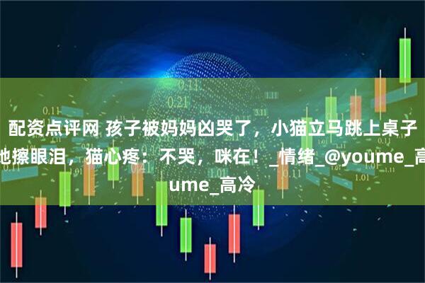 配资点评网 孩子被妈妈凶哭了，小猫立马跳上桌子给她擦眼泪，猫心疼：不哭，咪在！_情绪_@youme_高冷